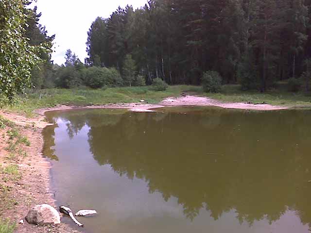 Краинка. Лесное озеро.